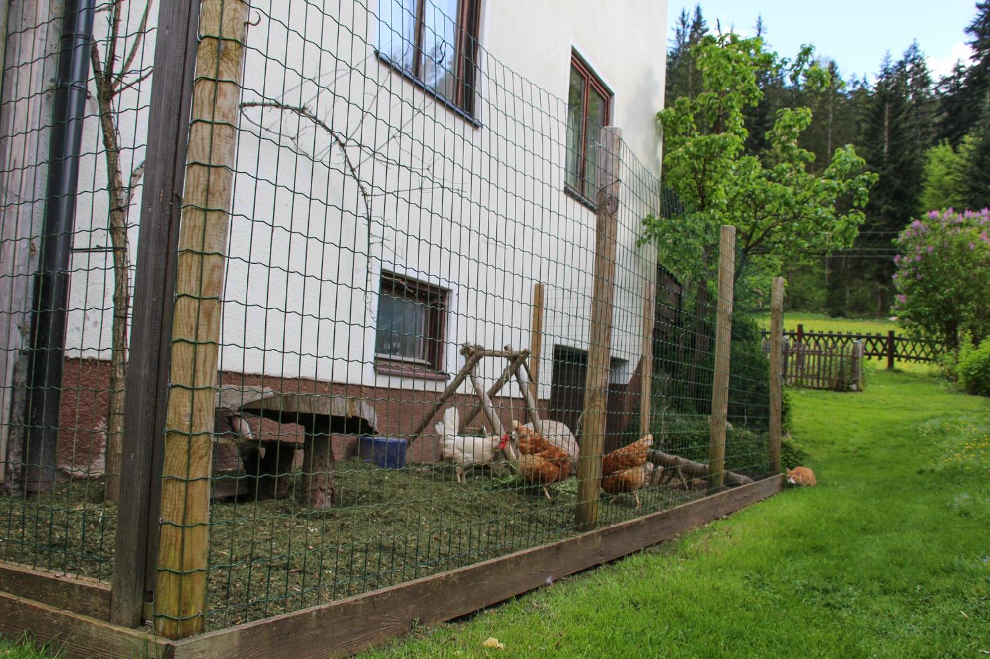 Apartament Frieda'S Platzl Abtenau Zewnętrze zdjęcie